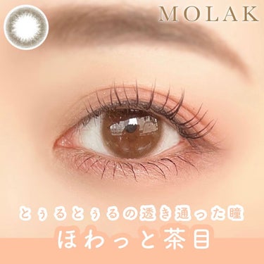 MOLAK 1day ティントブラウン/MOLAK/ワンデー（１DAY）カラコンを使ったクチコミ（1枚目）