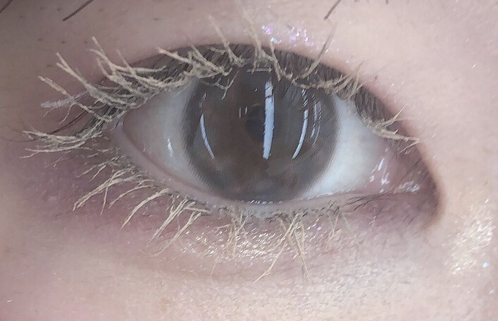 Devoted Kristin グレー/Hapa kristin/カラーコンタクトレンズを使ったクチコミ（1枚目）