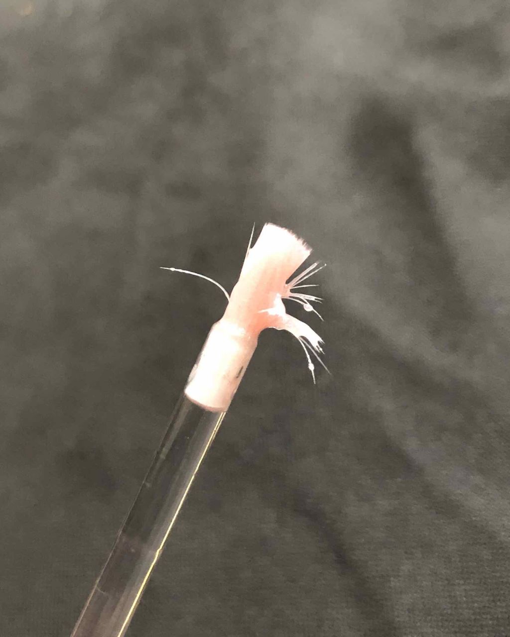 Plump Potion Needle-Free Plumping Cocktail/PHYSICIANS FORMULA/リップグロスを使ったクチコミ（2枚目）