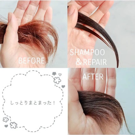 SHAMPOO & REPAIR/MEDULLA/市販シャンプーを使ったクチコミ(5枚目)