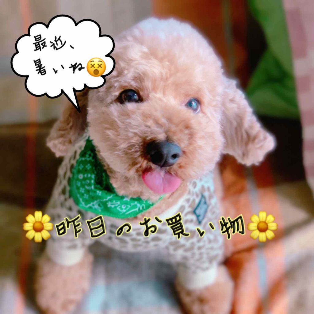 ラプソリュ ルージュ/LANCOME/口紅を使ったクチコミ（1枚目）