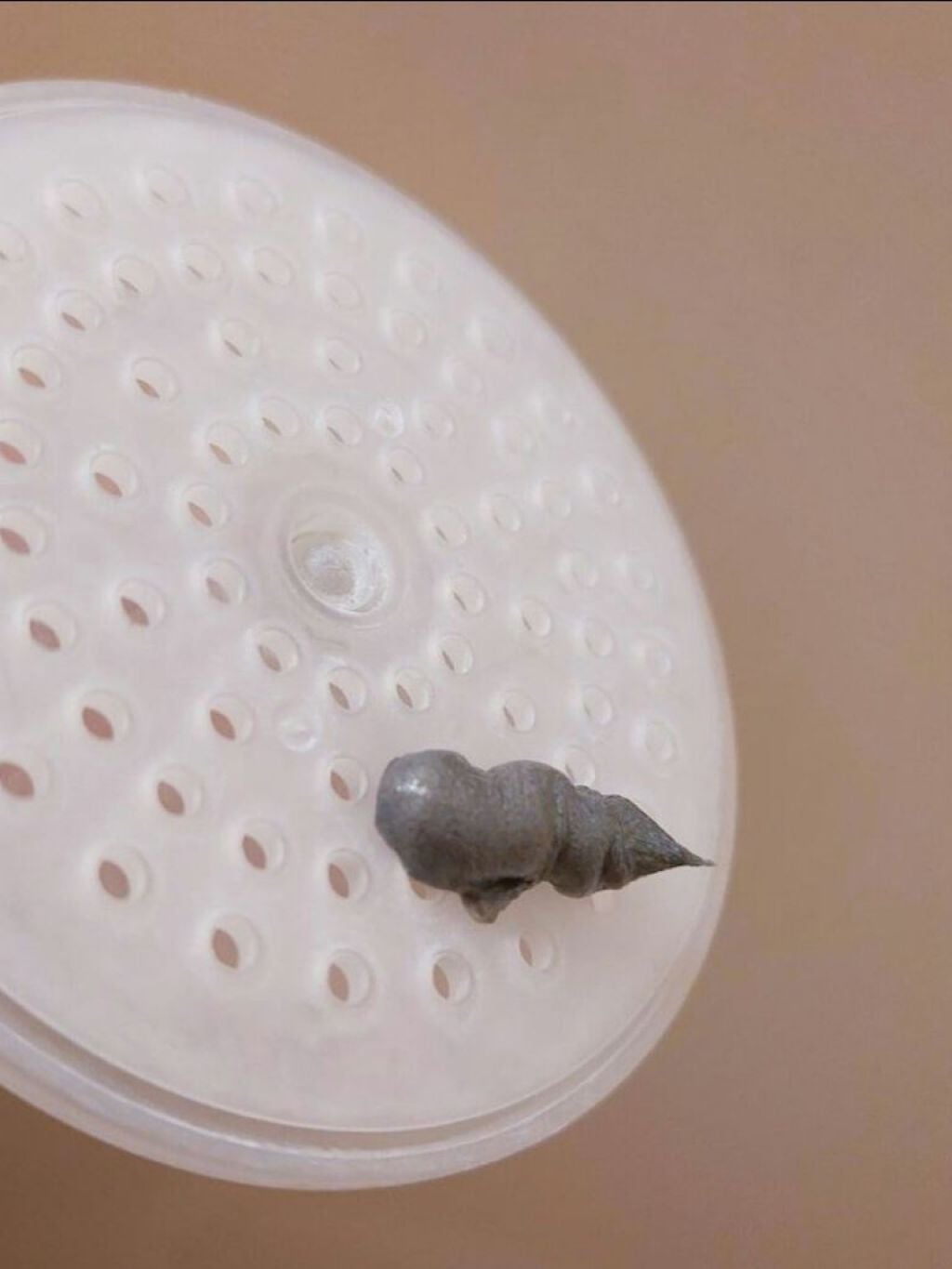 ホワイトフェイスウォッシュ/透明白肌/洗顔フォームを使ったクチコミ(3枚目)