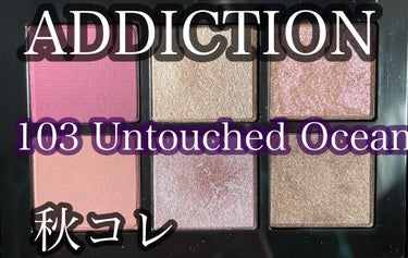 コンパクトアディクション センス オブ クラリティ 103 Untouched Ocean アンタッチド オーシャン/ADDICTION/アイシャドウパレットを使ったクチコミ（1枚目）