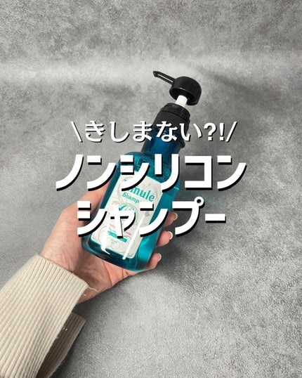 リムール ノンシリコンシャンプー・トリートメント/リムサプライ/サロンシャンプーを使ったクチコミ(1枚目)