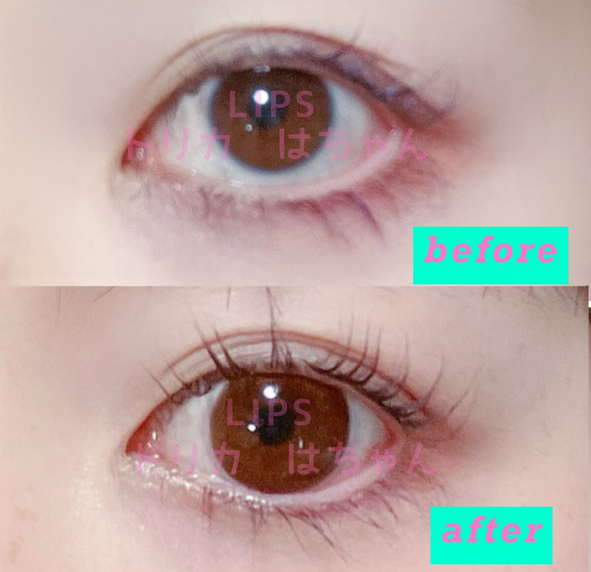 ダンビークラシックブラウン/トリカ/カラーコンタクトレンズを使ったクチコミ(1枚目)