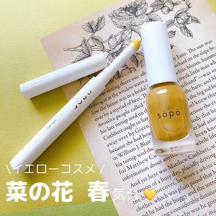 パウダー&ライナー/sopo/スティックアイシャドウを使ったクチコミ(1枚目)