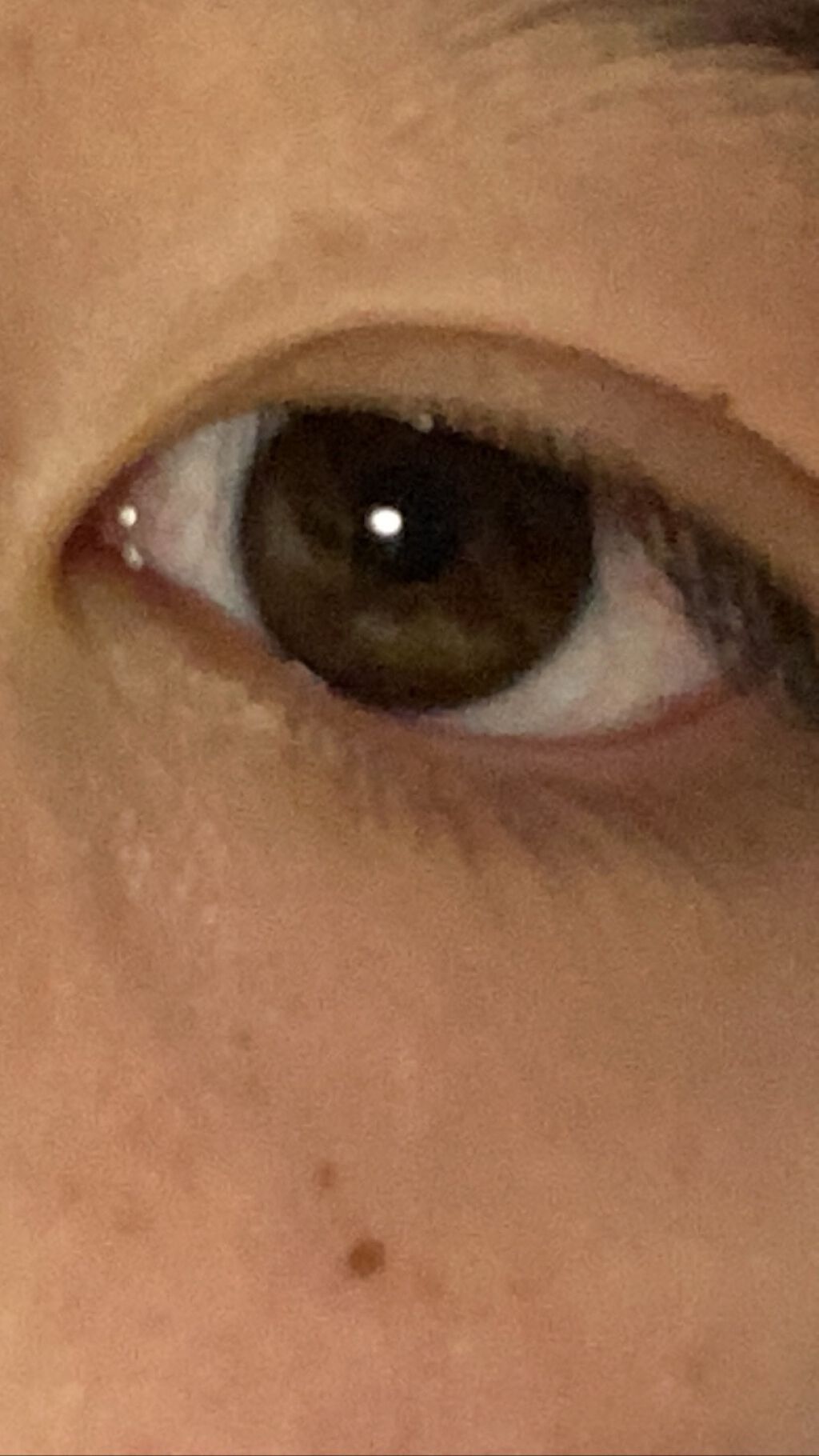 たまご on LIPS 「垢抜け頑張り中です!モチベ上げたいので既読感覚でいいねお願いし..」(2枚目)