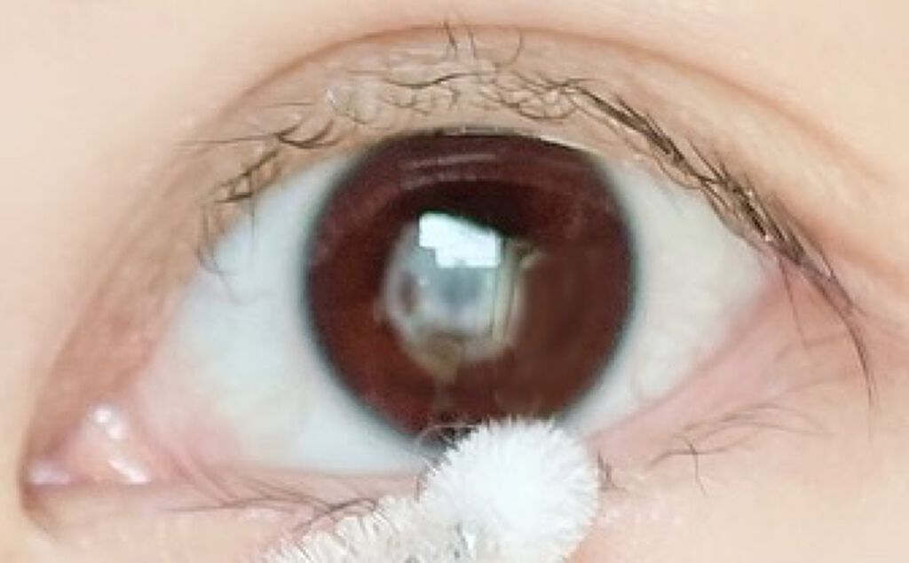 ロングアクティブアイラッシュセラム/COSNORI/まつげ美容液を使ったクチコミ（3枚目）