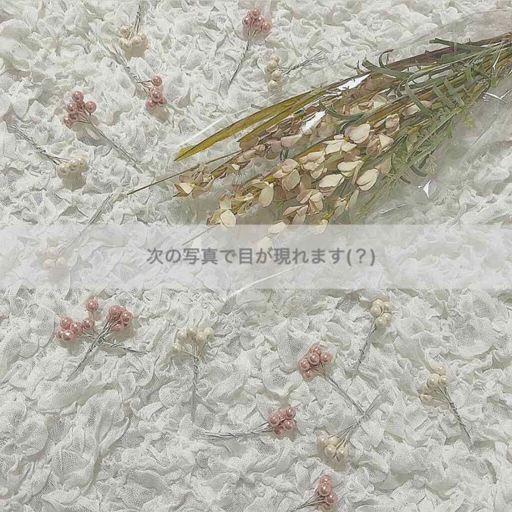 プレイカラー アイシャドウ/ETUDE/アイシャドウパレットを使ったクチコミ（2枚目）