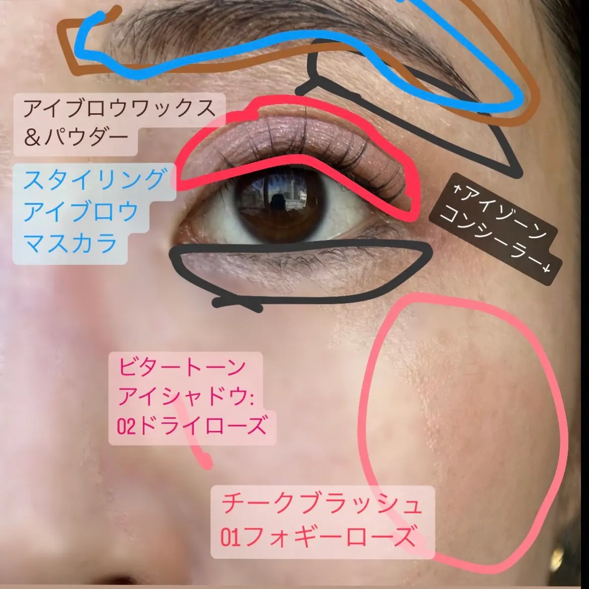 アイブロウワックス＆パウダー/CEZANNE/アイブロウを使ったクチコミ（2枚目）