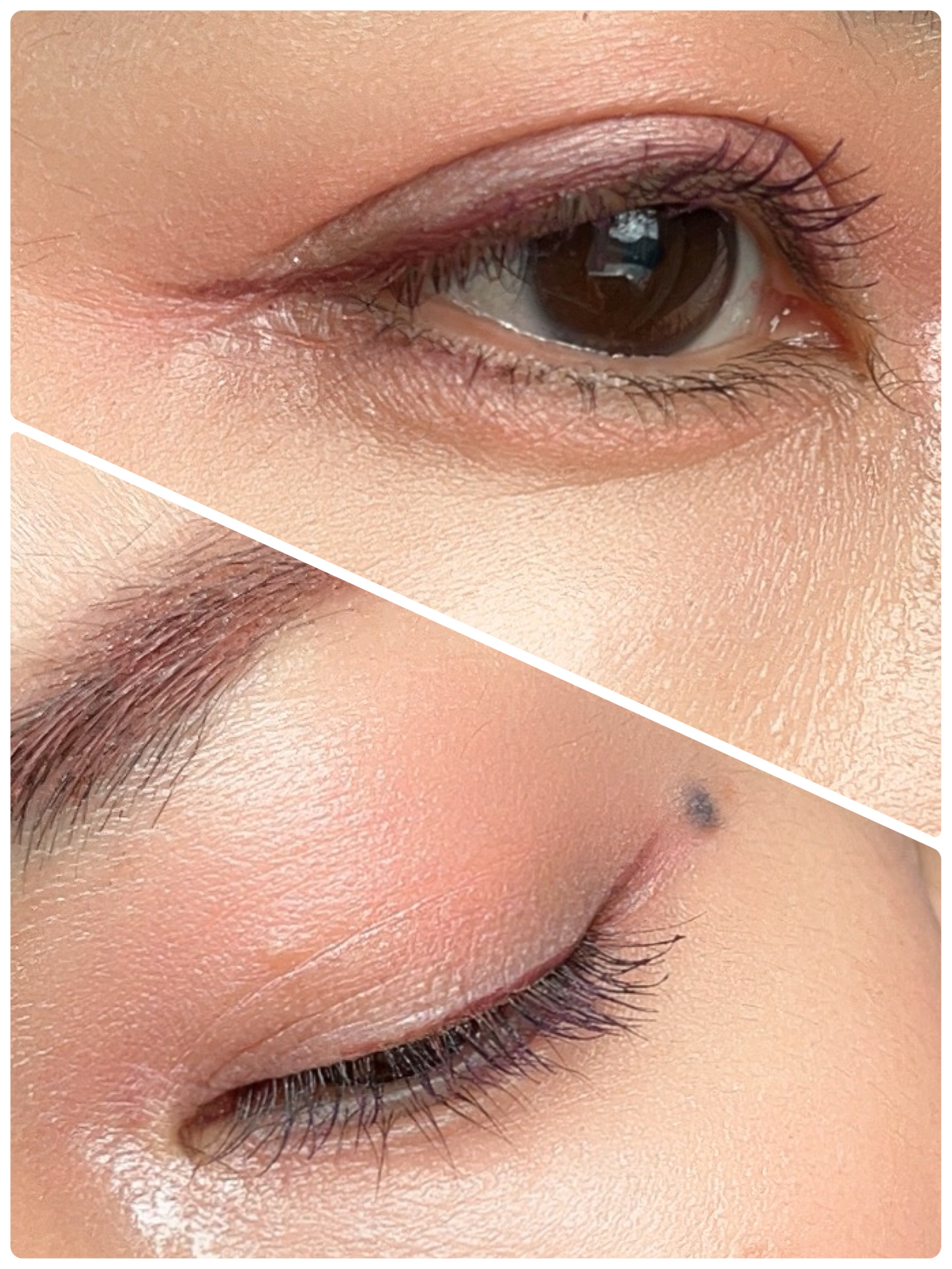 セルヴォーク ヴォランタリー アイズ/Celvoke/単色アイシャドウを使ったクチコミ（2枚目）