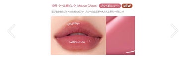 インク ムード グロイ ティント 19 MAUVE CHAOS/PERIPERA/リップグロスを使ったクチコミ（3枚目）