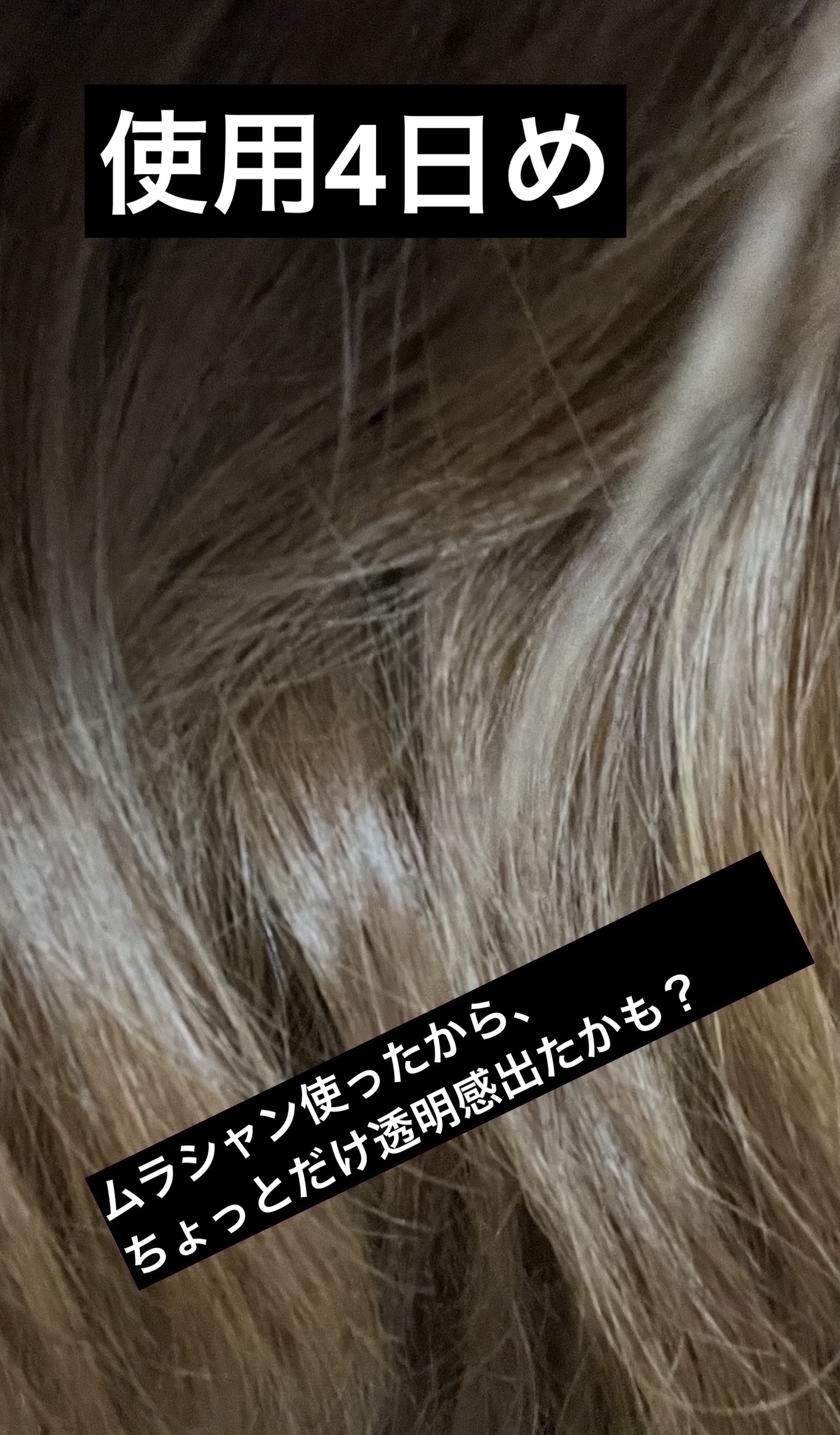 ソマルカ　カラーシャンプー/カラーチャージ/SOMARCA/サロンシャンプーを使ったクチコミ（3枚目）