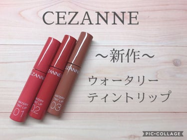 ウォータリーティントリップ/CEZANNE/口紅を使ったクチコミ（1枚目）