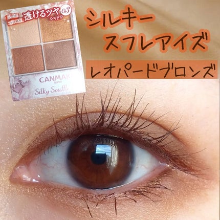 シルキースフレアイズ 03 レオパードブロンズ/キャンメイク/アイシャドウパレットを使ったクチコミ(1枚目)