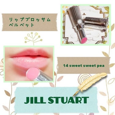 ジルスチュアート リップブロッサム ベルベット/JILL STUART/口紅を使ったクチコミ（1枚目）