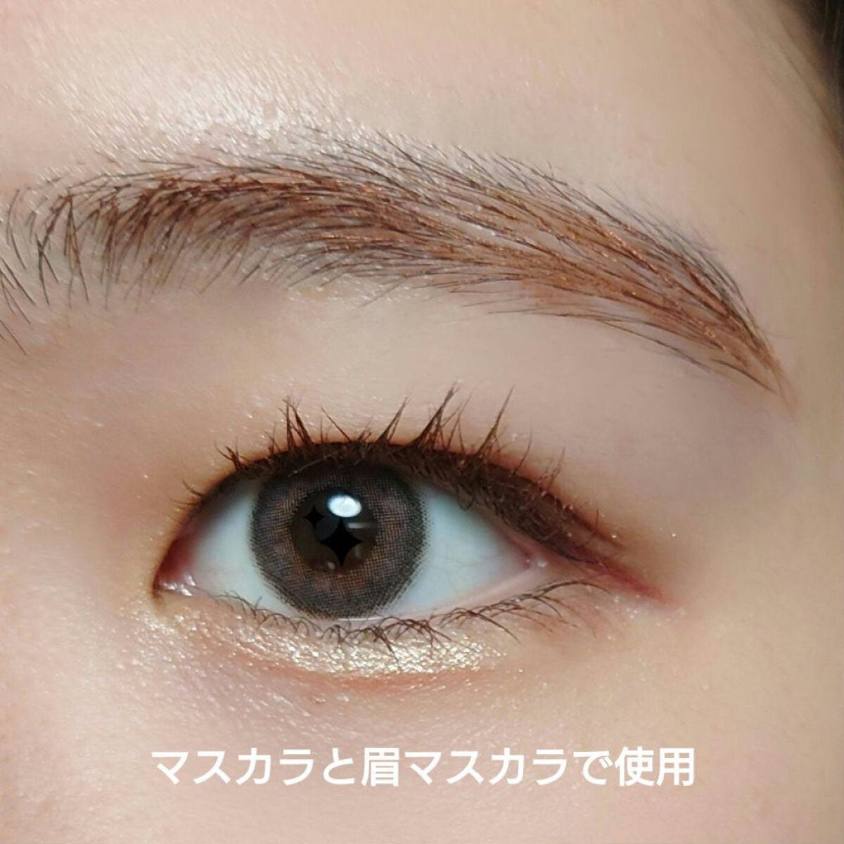 ラッシュ&アイブロウマスカラ/KIREI FACTORY/マスカラを使ったクチコミ(4枚目)