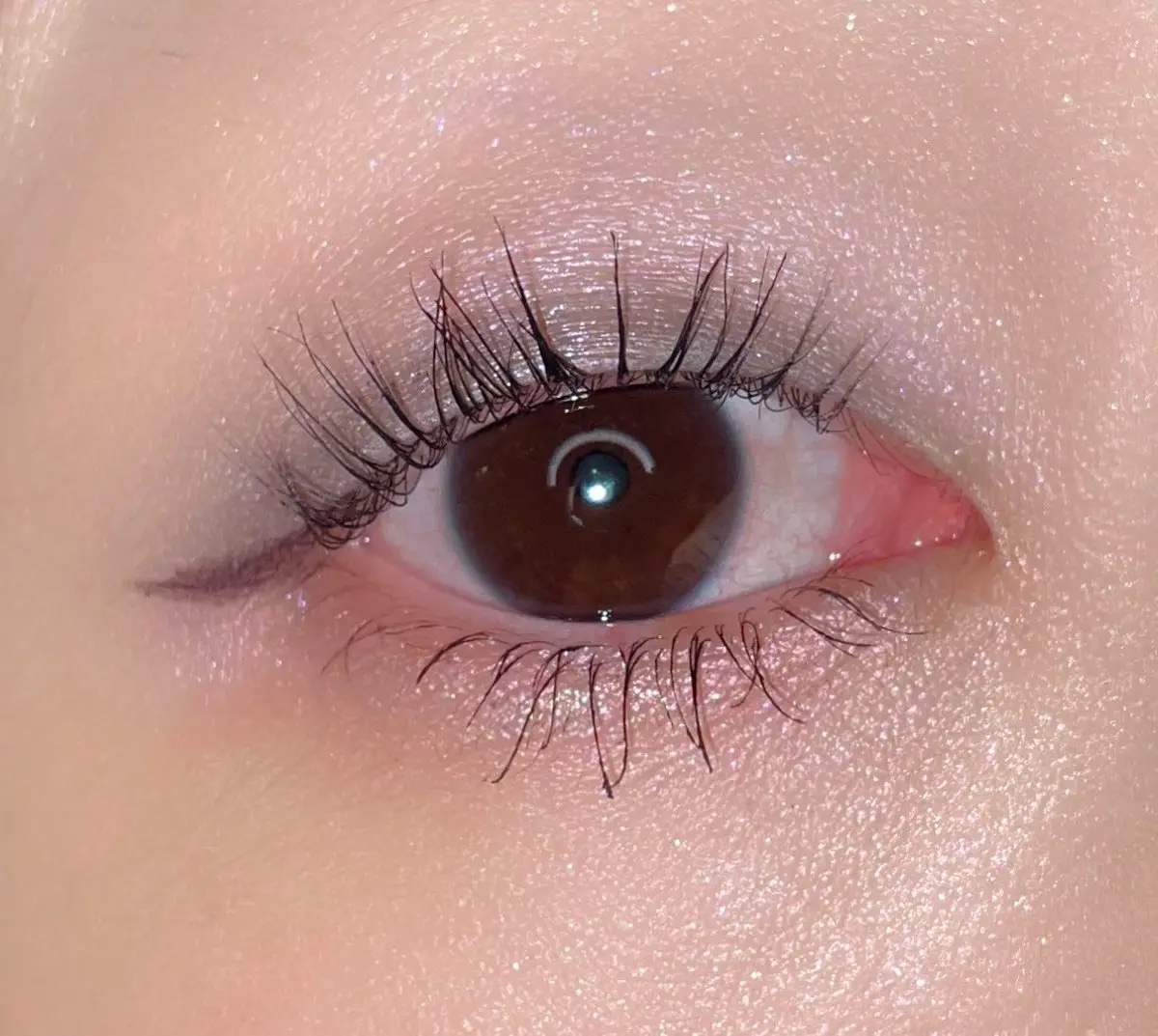 クリスマス コレクション 2019/CHICCA/メイクアップキットを使ったクチコミ（2枚目）