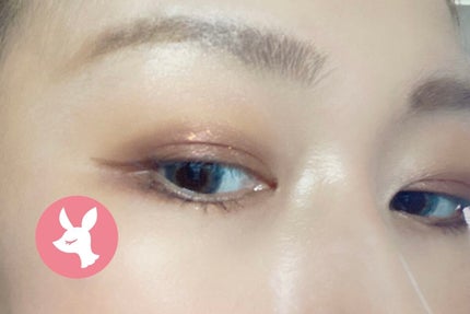 TOPARDS 1day/TOPARDS/ワンデー(1DAY)カラコンを使ったクチコミ(4枚目)