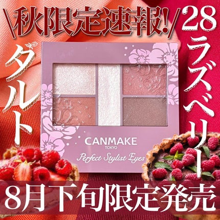 パーフェクトスタイリストアイズ/キャンメイク/アイシャドウパレットを使ったクチコミ(1枚目)