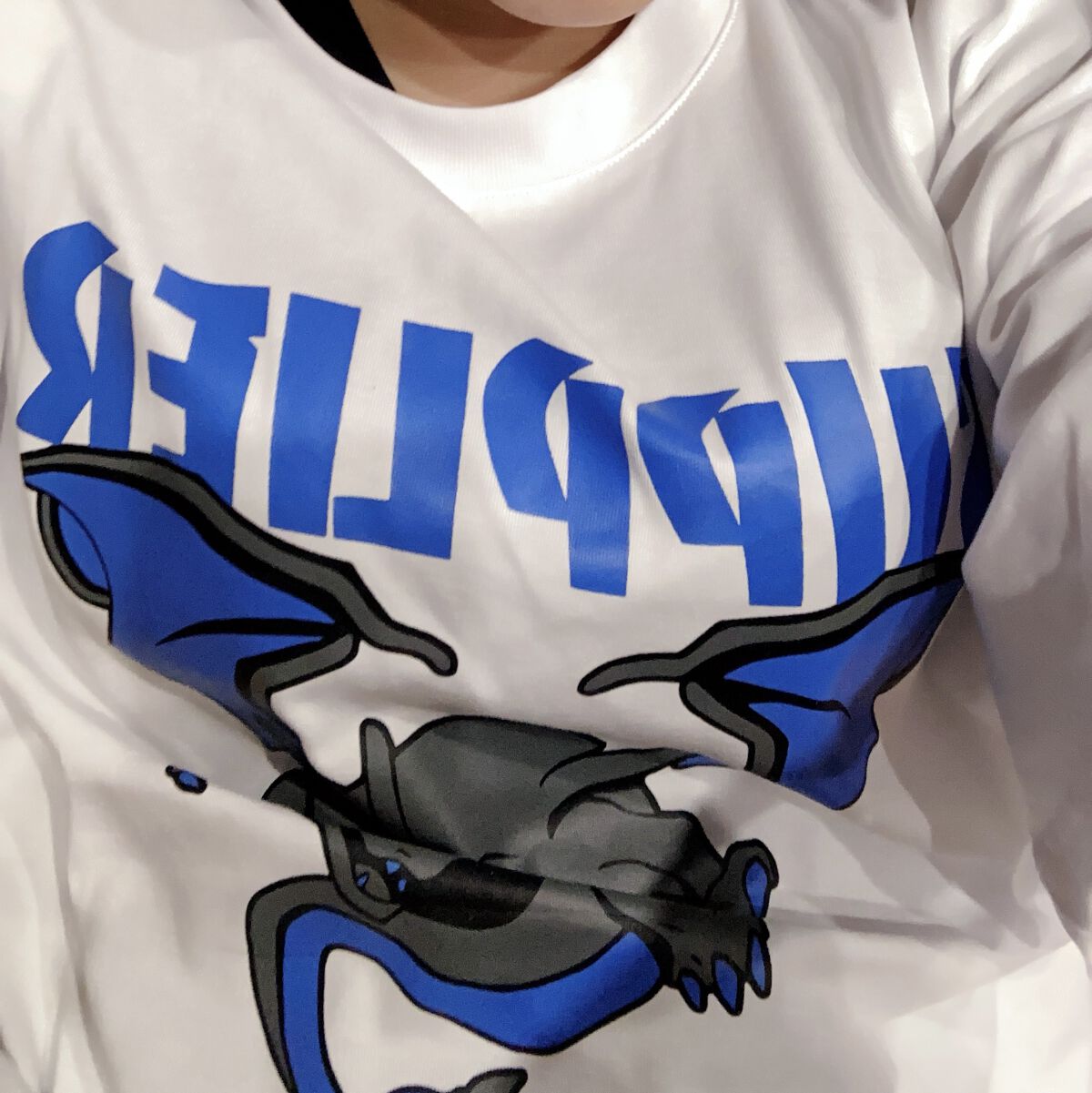 可愛い服買った〜。色違いリザードン！色違いだって言い張ってるけど妹と弟にはメガ進化って言われてる。なんで？メガ進化だったら炎の形違うよね。わたし剣盾の推しポケリザードンなんだけど、色違いなんか出ねえのでわたしが着てやった。

犬は猛暑でよく