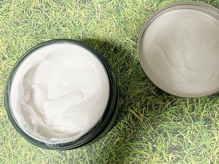 ウェルネス ボディジェルクリーム ユーカリ& ローズマリー/THE BODY SHOP/ボディクリームを使ったクチコミ(2枚目)