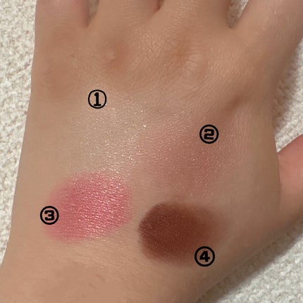 グロッシーリッチ アイズ N/Visée/アイシャドウパレットを使ったクチコミ(2枚目)