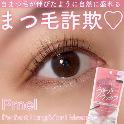 ピメル うそつきマスカラ/pdc/マスカラを使ったクチコミ(1枚目)