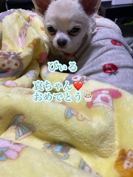 フォームチェンジマスク/APEX/洗い流すパック・マスクを使ったクチコミ(5枚目)