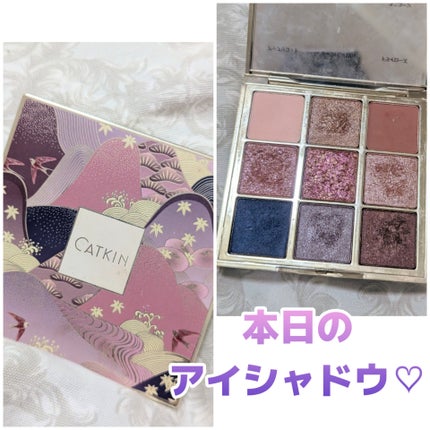 長相思シリーズ 9色アイシャドウパレット/CATKIN/アイシャドウパレットを使ったクチコミ(1枚目)