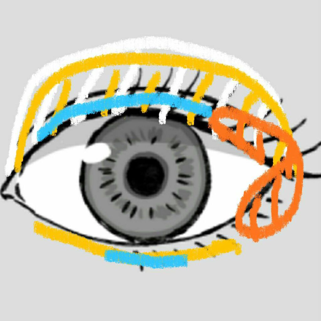 UR GLAM BLOOMING EYE COLOR PALETTE/U R GLAM/アイシャドウパレットを使ったクチコミ(3枚目)