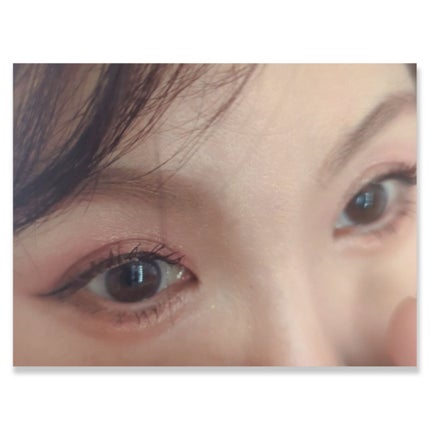 エクスプローラ12色 動物アイシャドウパレット/PERFECT DIARY/アイシャドウパレットを使ったクチコミ(2枚目)