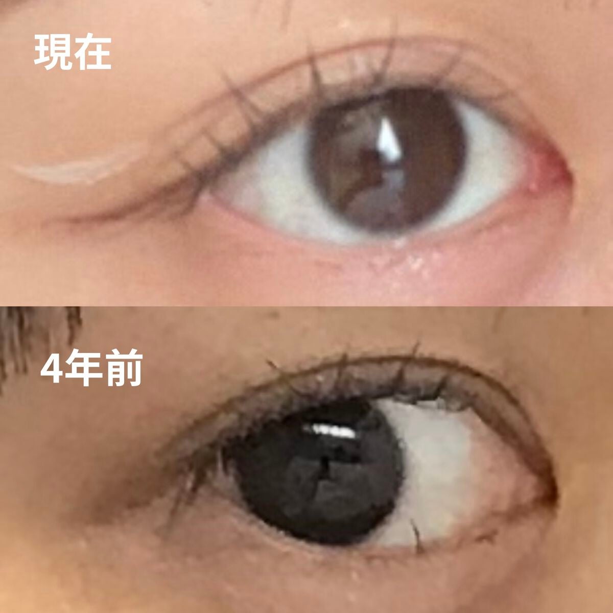 ラッシュジェリードロップ EX/MAJOLICA MAJORCA/まつげ美容液を使ったクチコミ(1枚目)