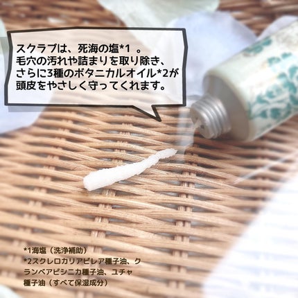 ヘッドスクラブ リフレッシング(ミント)/SABON/ヘッドスクラブを使ったクチコミ(2枚目)