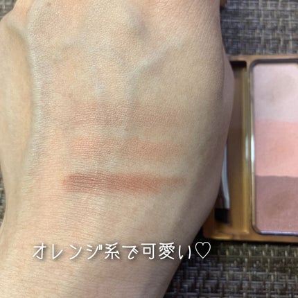 ノーズ&アイブロウパウダー/CEZANNE/パウダーアイブロウを使ったクチコミ(3枚目)