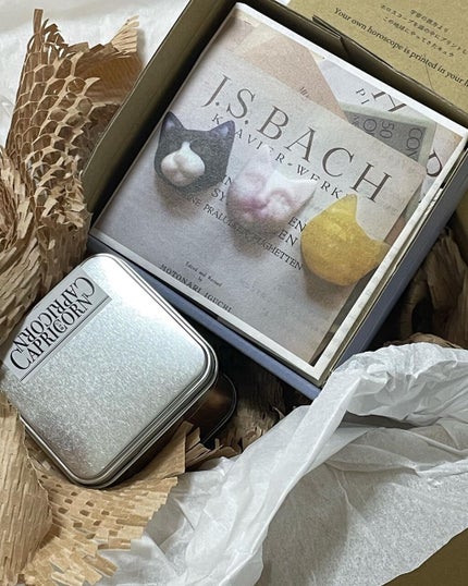 フォロバ中!なるみんご🦩🦩🦩一重メイク&コスメ&美容 on LIPS 「世界にひとつだけの石鹸を作ってみたら、可愛すぎた…🐈💭「パーソ..」(7枚目)