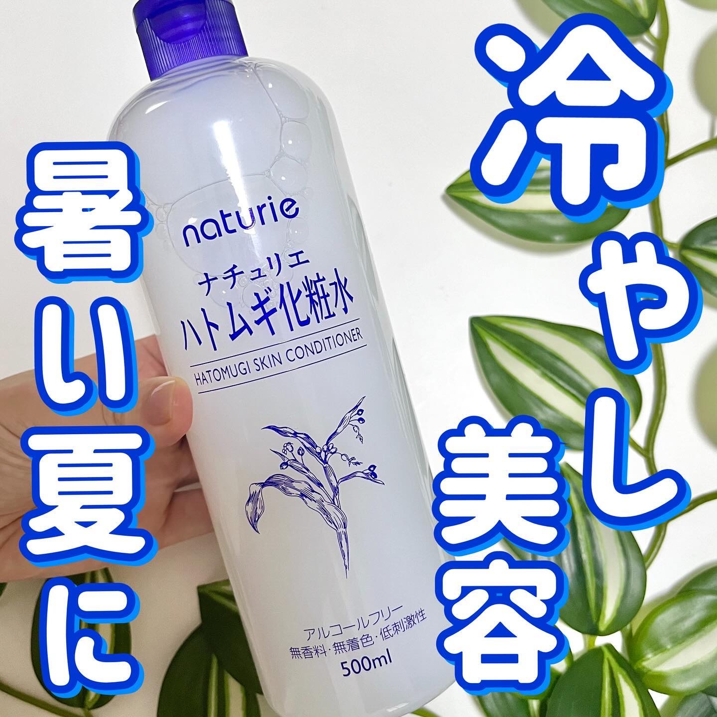 ハトムギ化粧水(ナチュリエ スキンコンディショナー R )/ナチュリエ/化粧水を使ったクチコミ（1枚目）