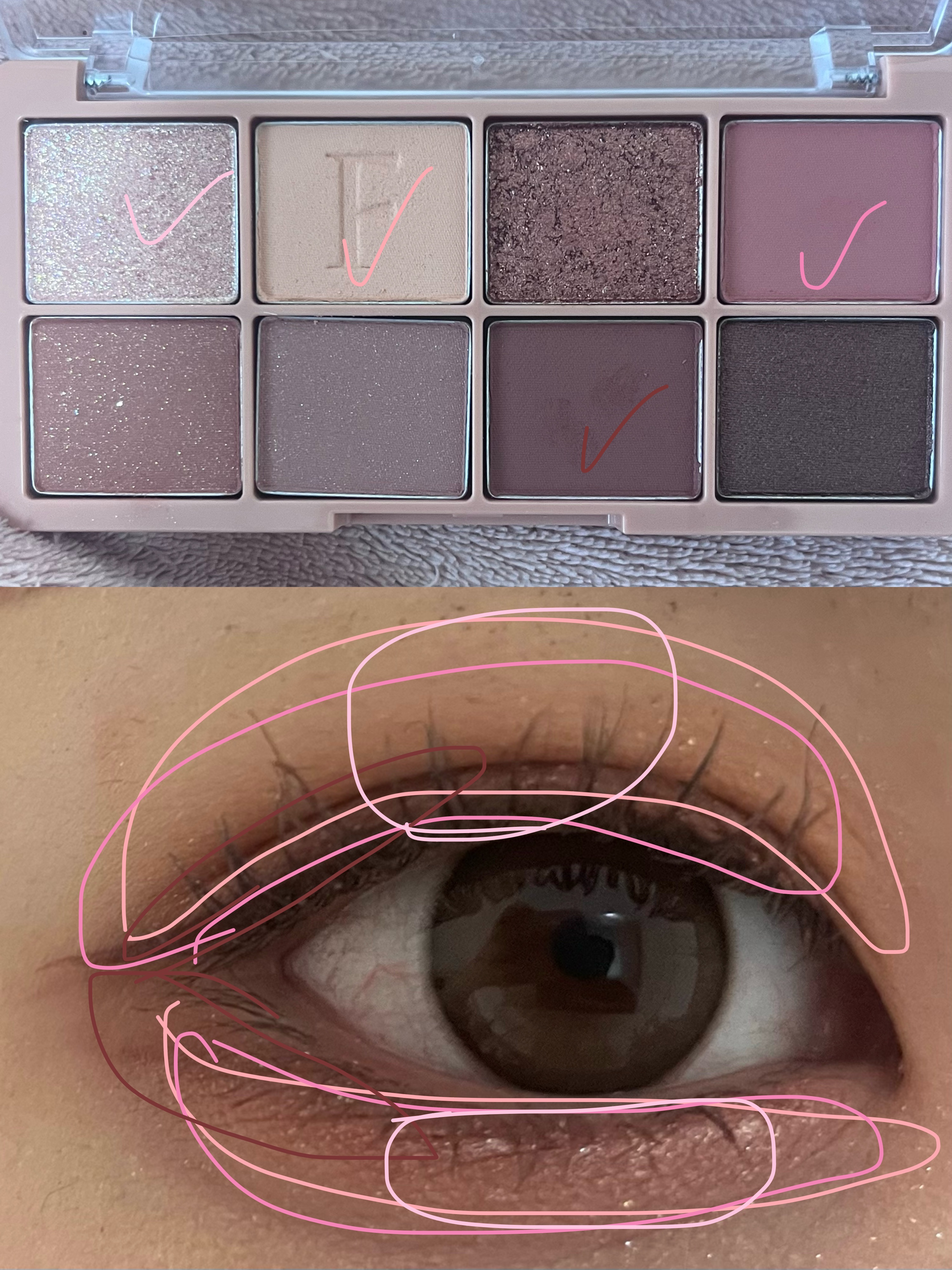 ラッスルアイシャドウパレット/Flynn/アイシャドウパレットを使ったクチコミ（2枚目）