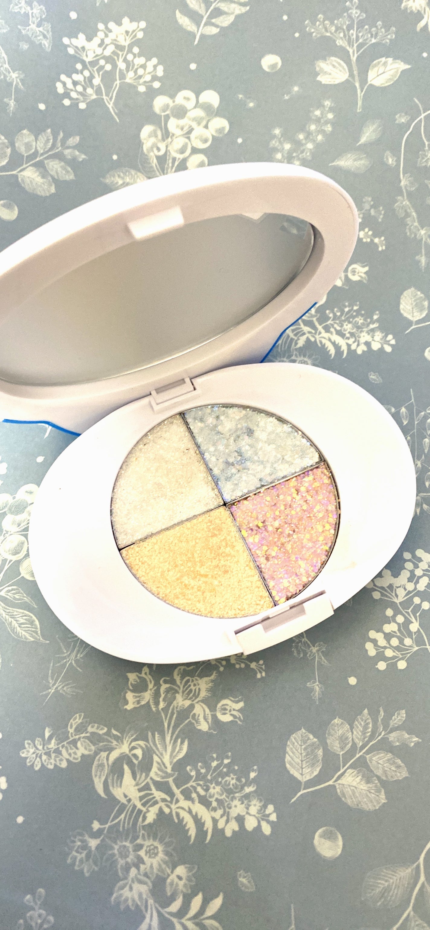 CWアイシャドウ/SHOBIDO/アイシャドウパレットを使ったクチコミ(2枚目)