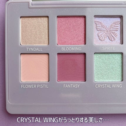 エクスプローラ12色 動物アイシャドウパレット/PERFECT DIARY/アイシャドウパレットを使ったクチコミ(5枚目)