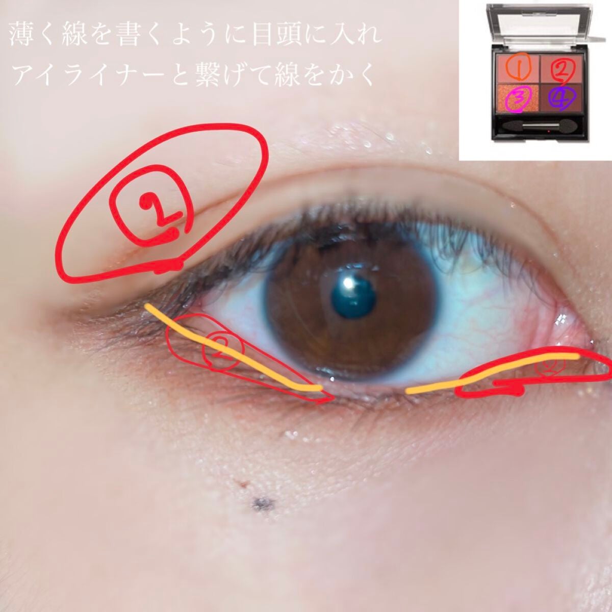 心葉 on LIPS 「「初心者だから、、」「丸目だし、、」切れ長メイク諦めていません..」(4枚目)