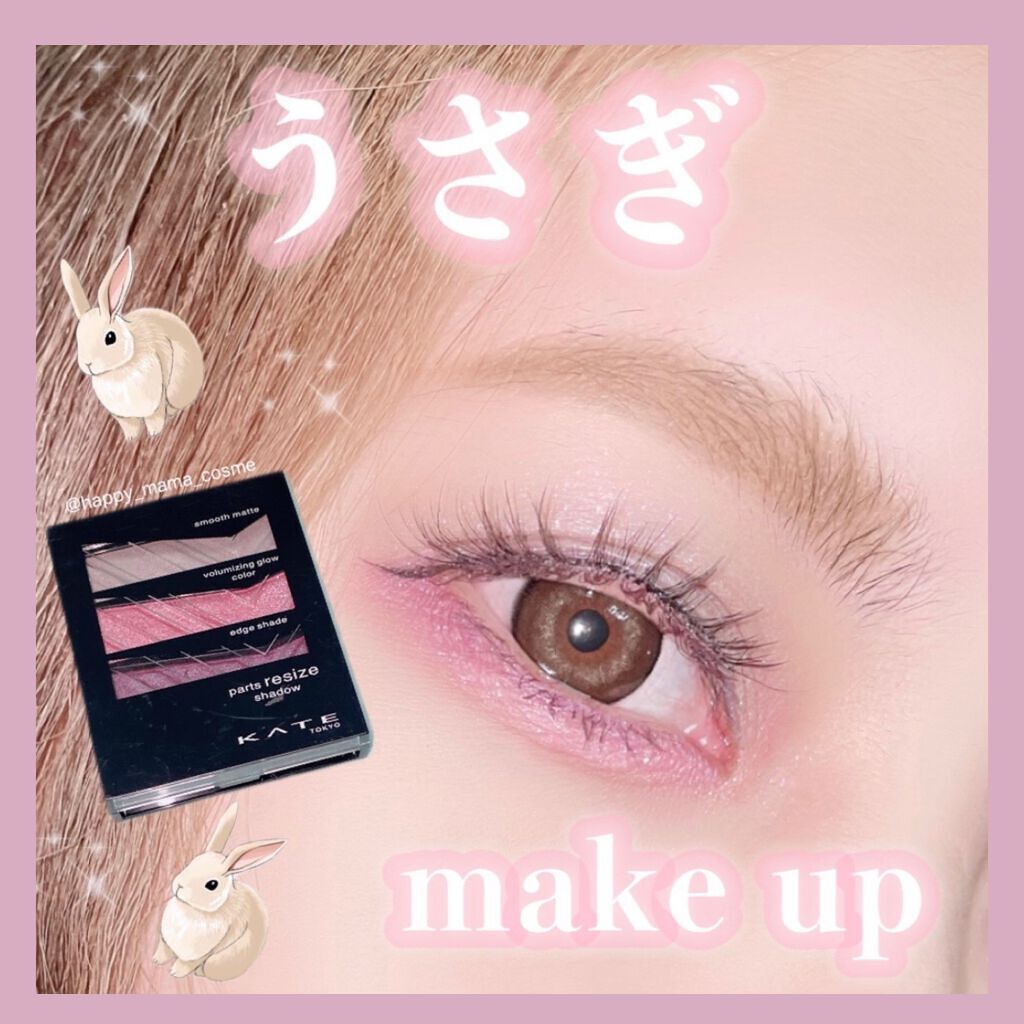 パーツリサイズシャドウ/KATE/アイシャドウパレットを使ったクチコミ(1枚目)