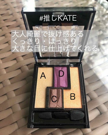 ヴィンテージモードアイズ/KATE/パウダーアイシャドウを使ったクチコミ（1枚目）