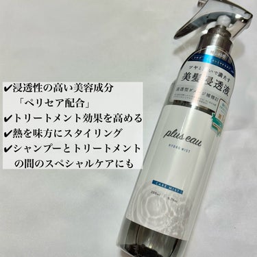 ハイドロミストN/plus eau/アウトバストリートメントを使ったクチコミ（2枚目）