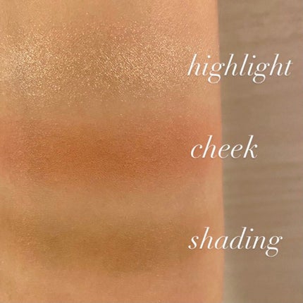 バイロダン アートパレットⅡ/too cool for school/メイクアップキットを使ったクチコミ(5枚目)