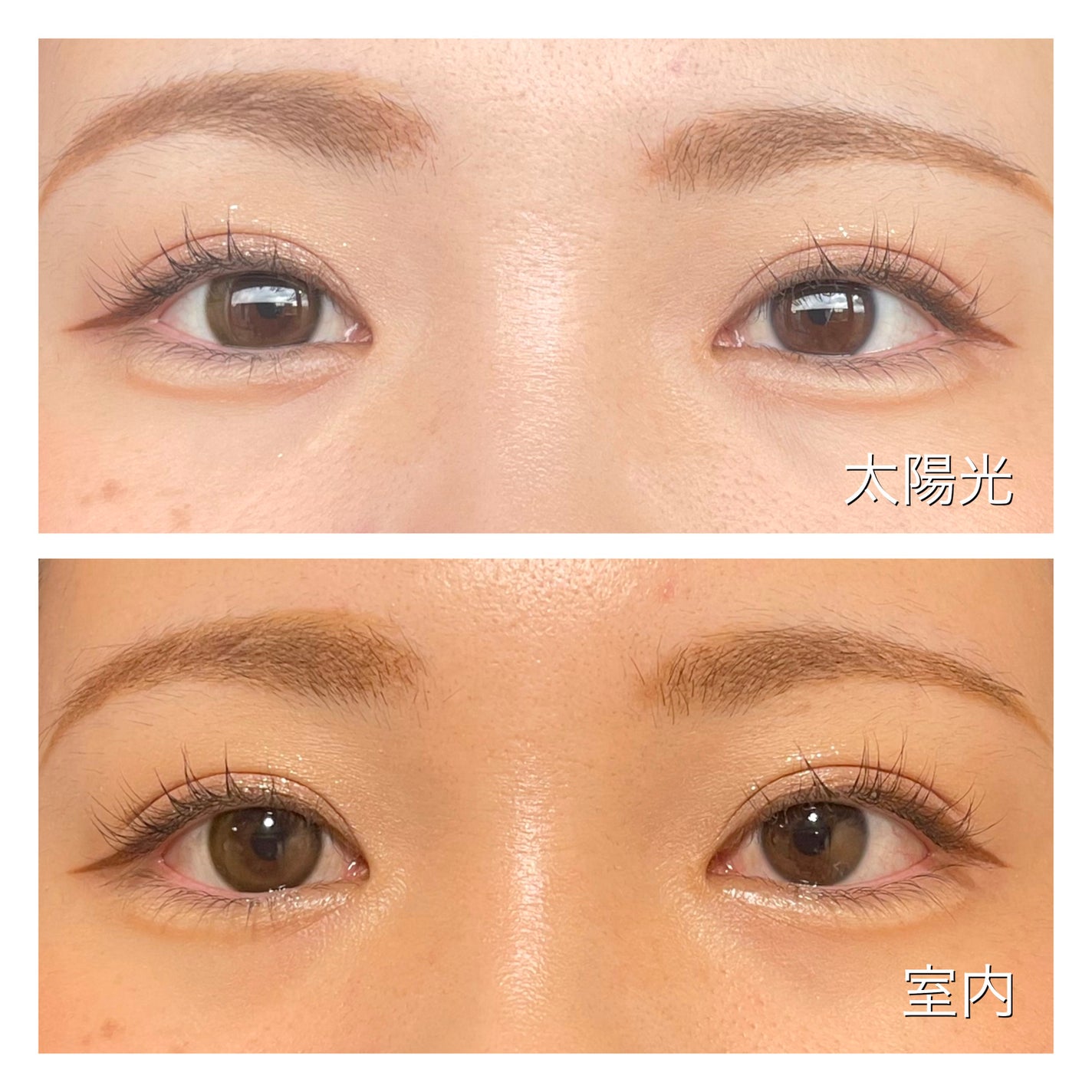 エバーカラーワンデーミリモア/エバーカラー/ワンデー(1DAY)カラコンを使ったクチコミ(5枚目)