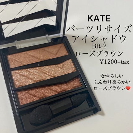 パーツリサイズシャドウ/KATE/アイシャドウパレットを使ったクチコミ(2枚目)