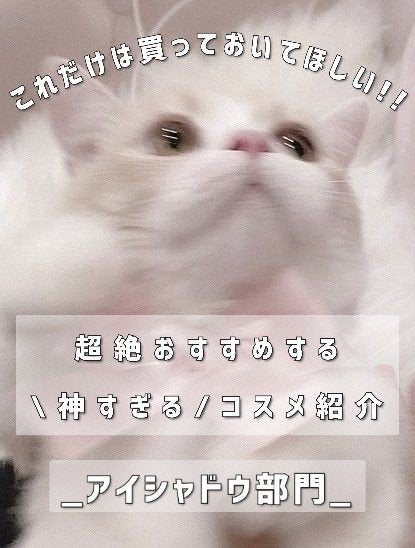 シングルカラーアイシャドウ/CEZANNE/単色アイシャドウを使ったクチコミ(1枚目)