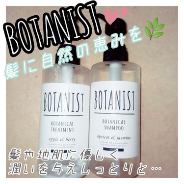 ボタニカルシャンプー／トリートメント(モイスト) トリートメント/BOTANIST/シャンプー・コンディショナーを使ったクチコミ（1枚目）