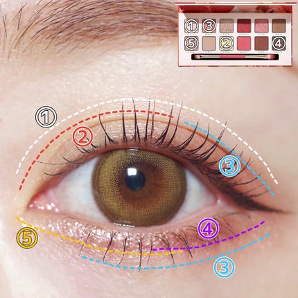 エクスプローラ12色 動物アイシャドウパレット/PERFECT DIARY/アイシャドウパレットを使ったクチコミ(5枚目)